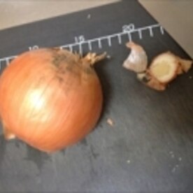 ねえこれ知ってた ストレス少なめ玉ねぎスライス術 レシピ 作り方 By Johnny Bean 楽天レシピ ねえこれ知ってた ストレス少なめ玉ねぎスライス術 レシピ 作り方 By Johnny Bean 楽天レシピ